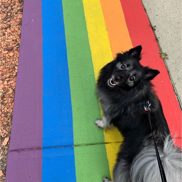 Meet your Posher, Jasmine - Picture 3 of 5